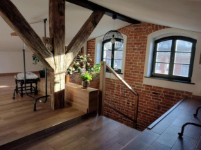 Starówka apartament Miodova 12